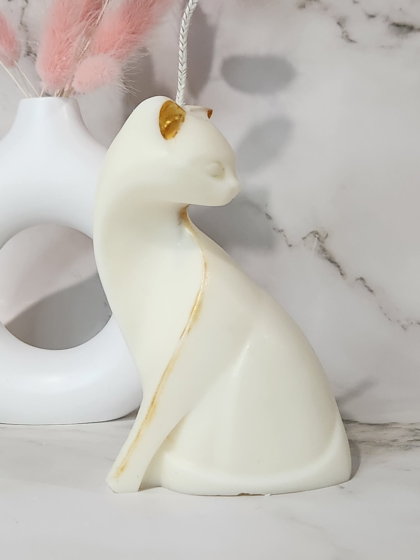 Miau, vela de gato elegante