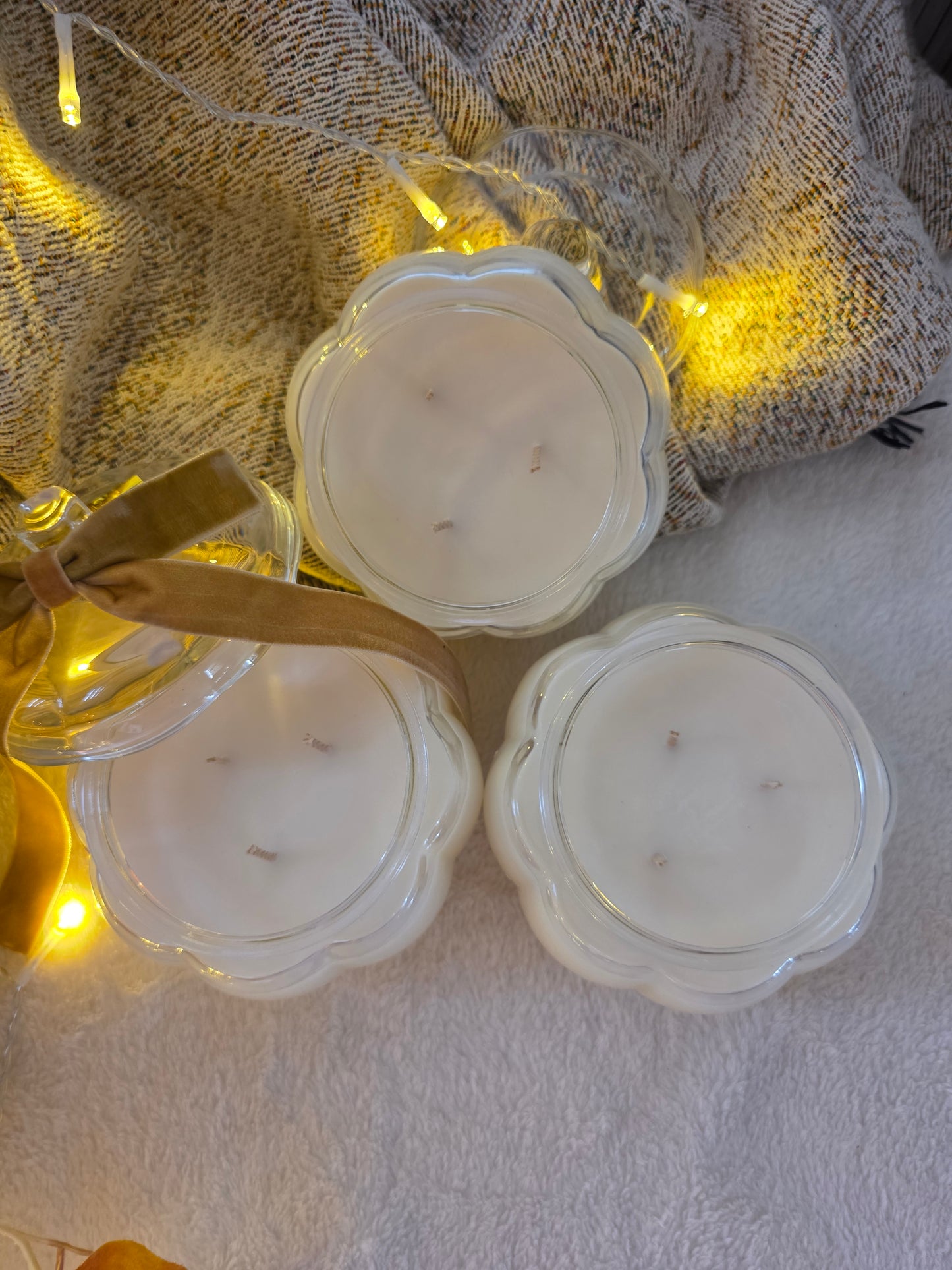 Vela Pumpkin Cream