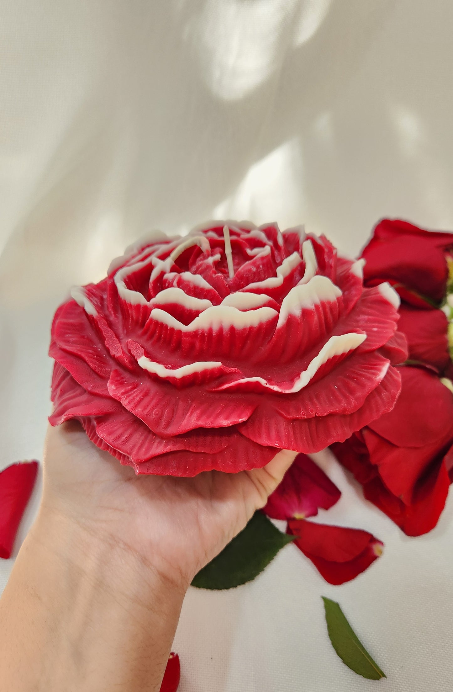 Huge Peony