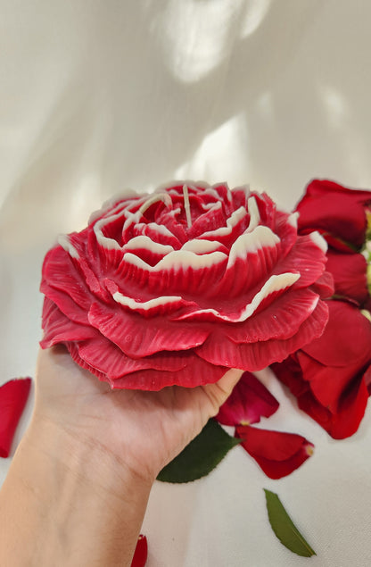 Huge Peony