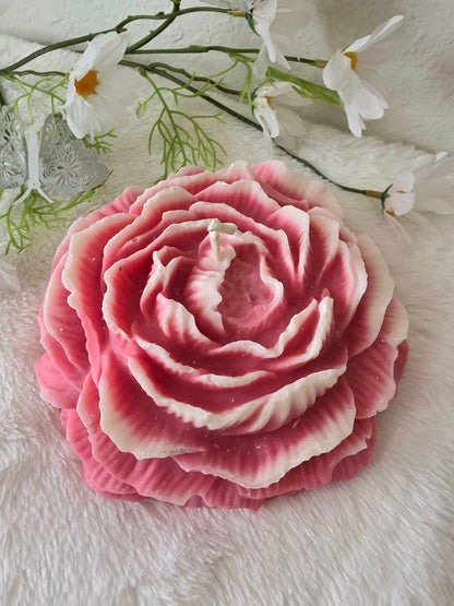 Huge Peony