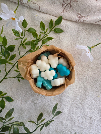 Wax melts de nubes