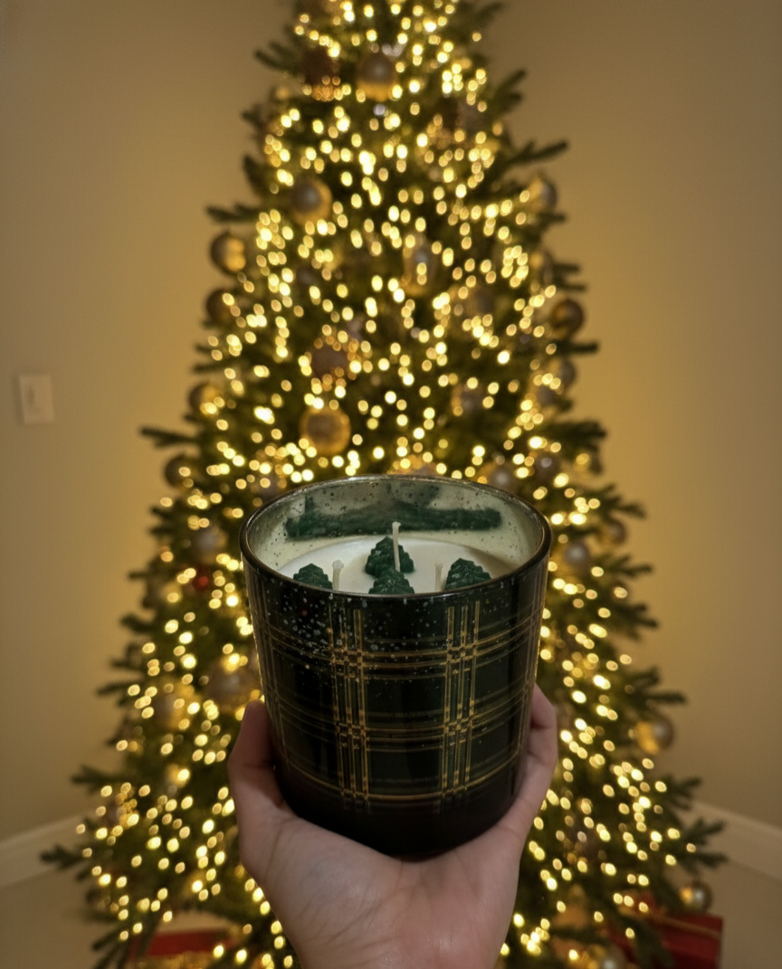 Vela Alegría y Celebración🎉