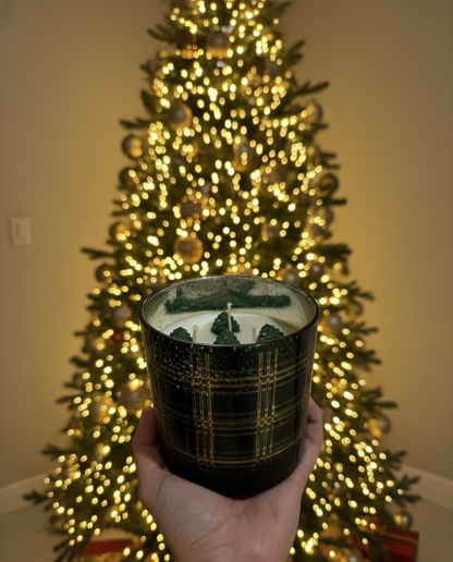 Vela Alegría y Celebración🎉