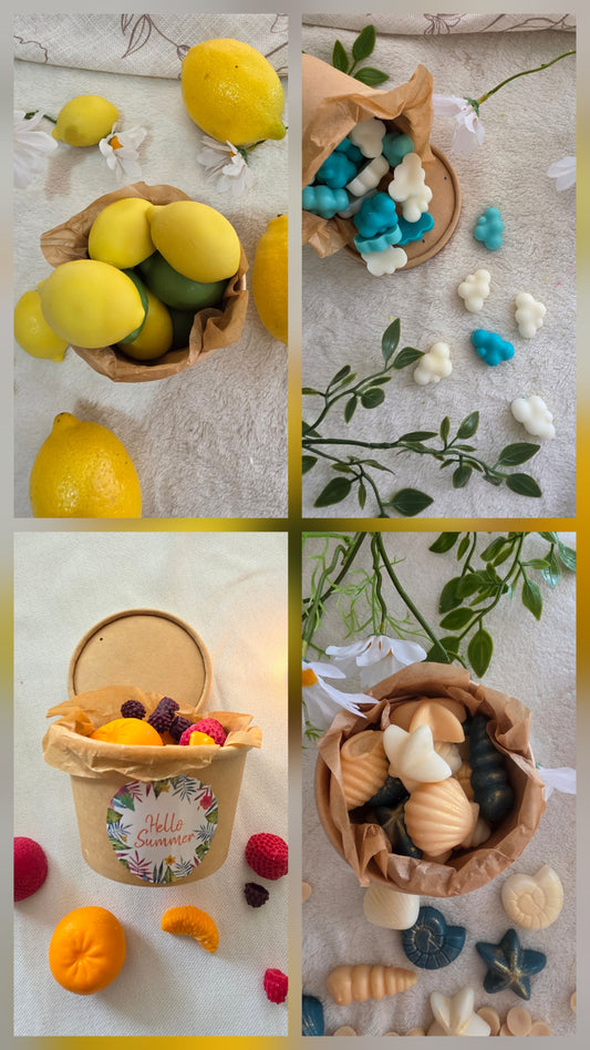 Pack wax melts de verano