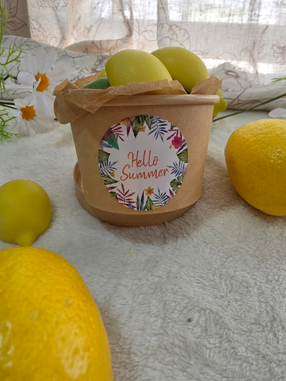 Pack wax melts de verano