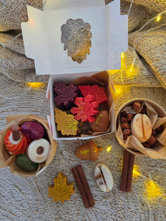 Pack Otoño Wax melts